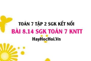 Bài 8.14 SGK Toán 7 Tập 2 Kết nối tri thức